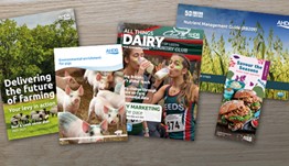 Publications and resources